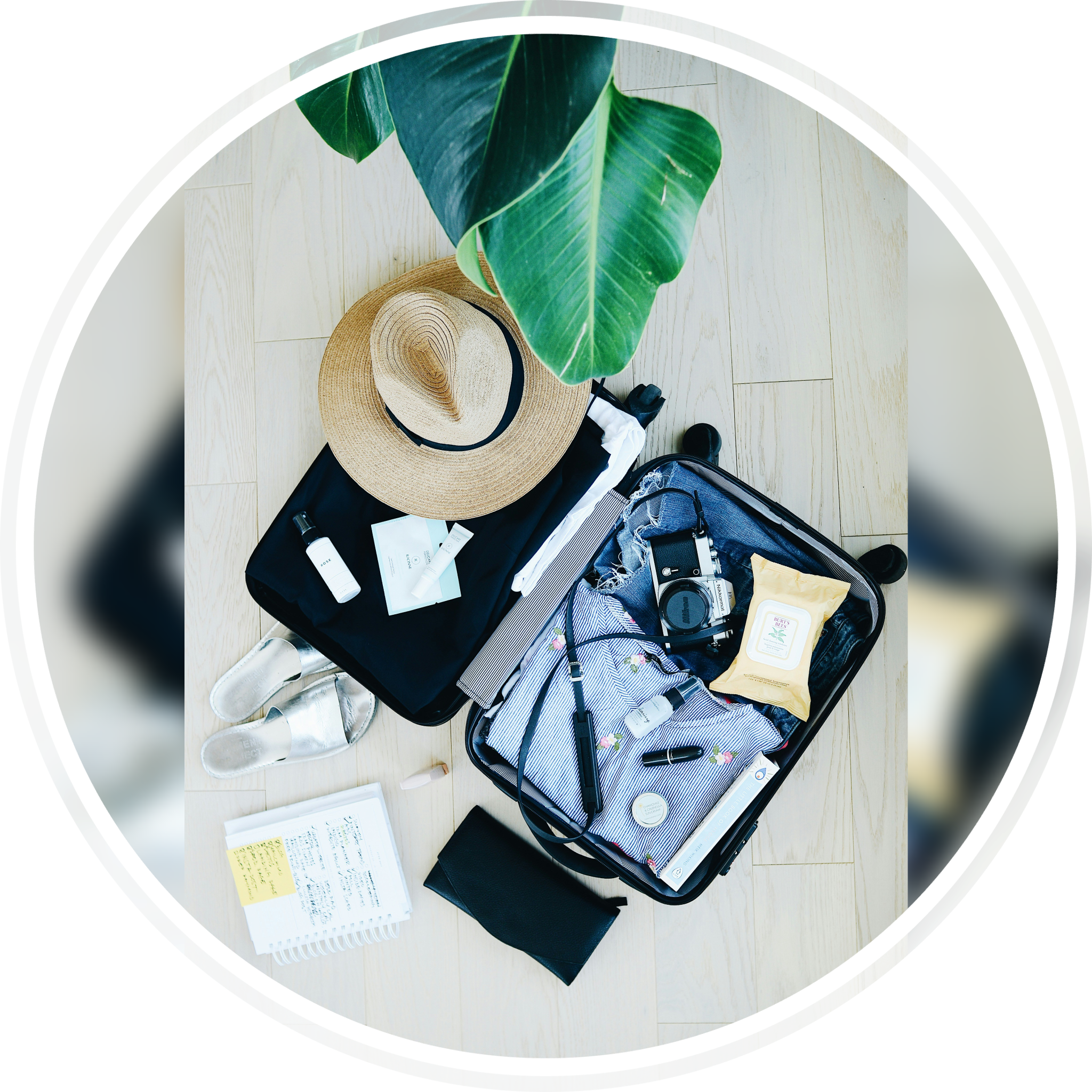 Frame-1618874179-2048x2048 A suitcase with some items on it